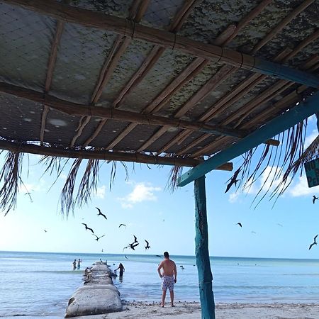 Mi Habitat Holbox-Maravilla Natural Luaran gambar