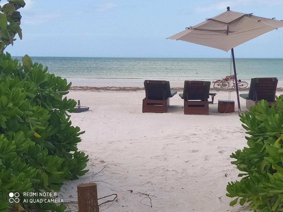 Mi Habitat Holbox-Maravilla Natural Luaran gambar