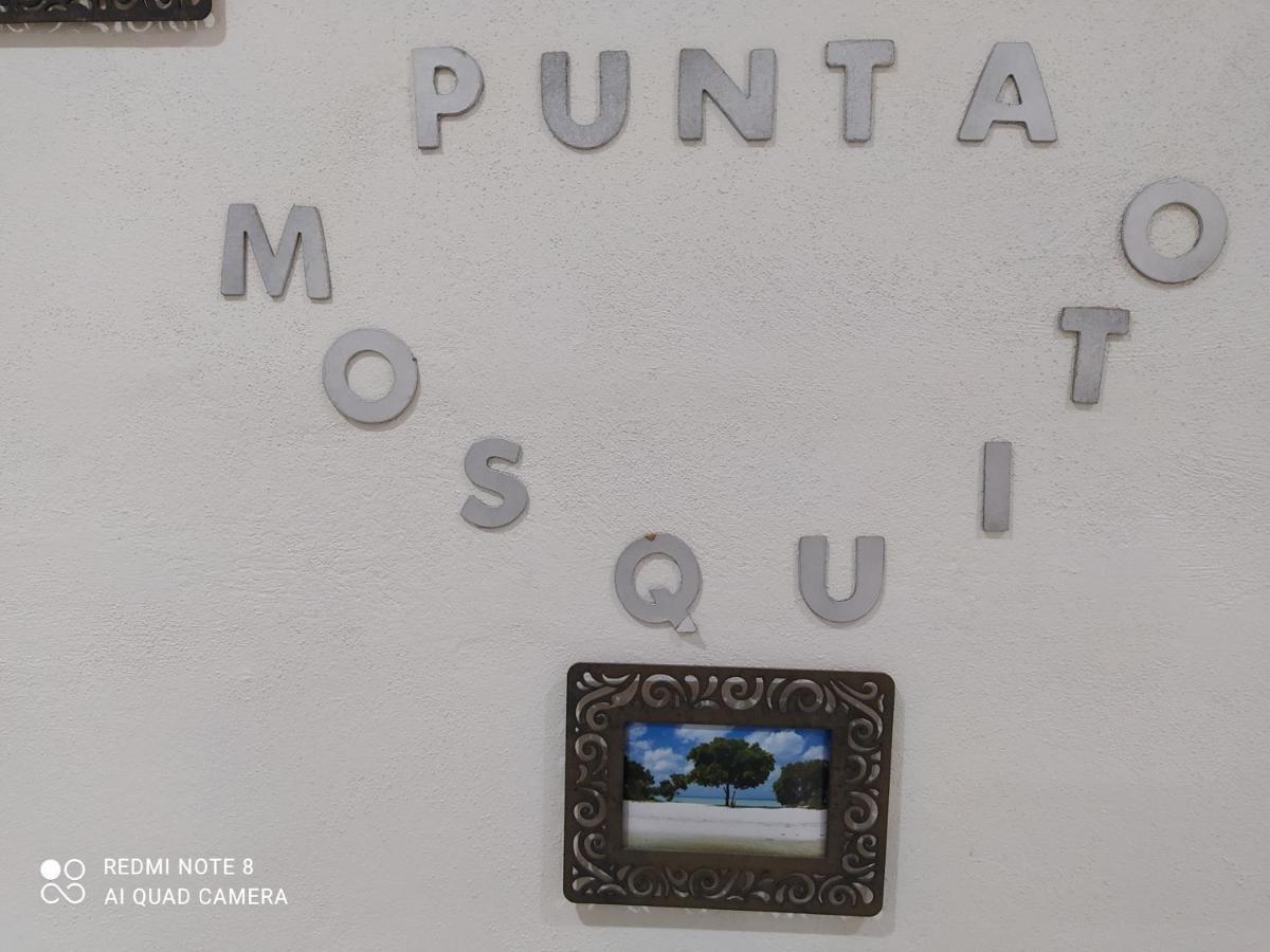 Mi Habitat Holbox-Maravilla Natural Luaran gambar
