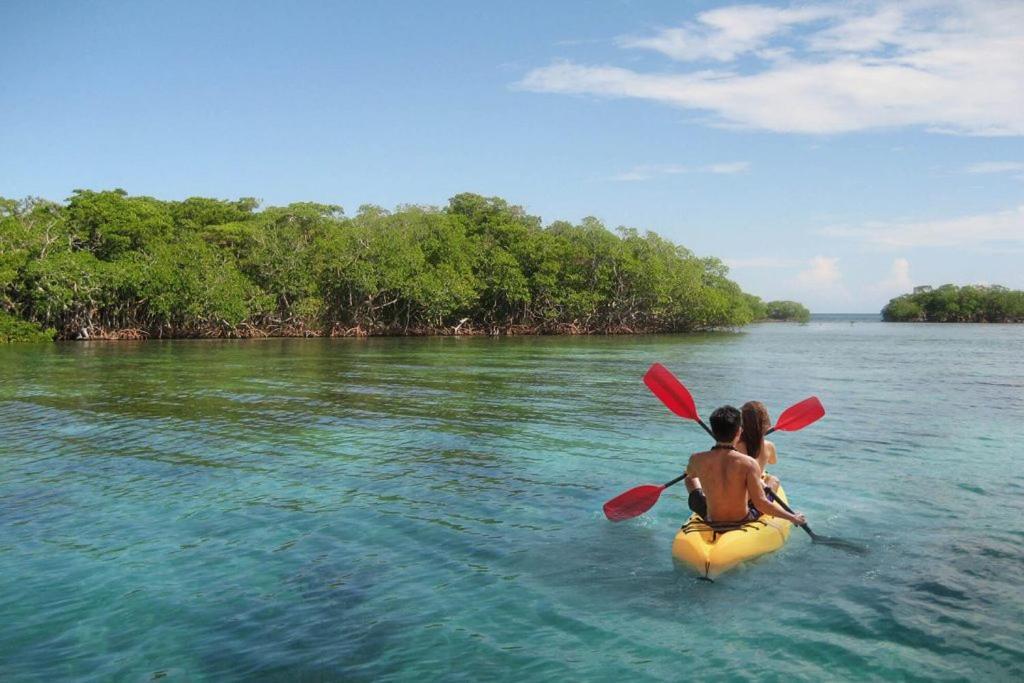 Mi Habitat Holbox-Maravilla Natural Luaran gambar