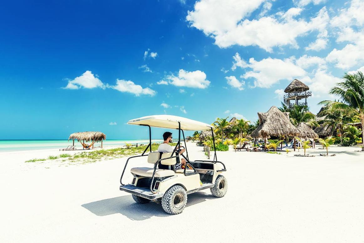 Mi Habitat Holbox-Maravilla Natural Luaran gambar