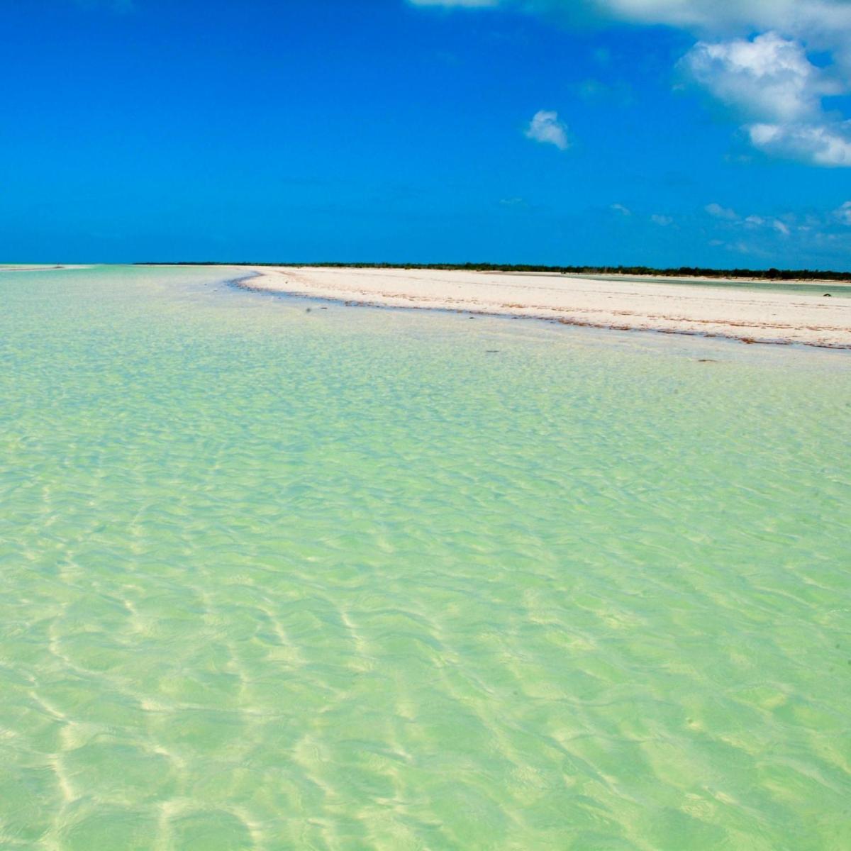 Mi Habitat Holbox-Maravilla Natural Luaran gambar