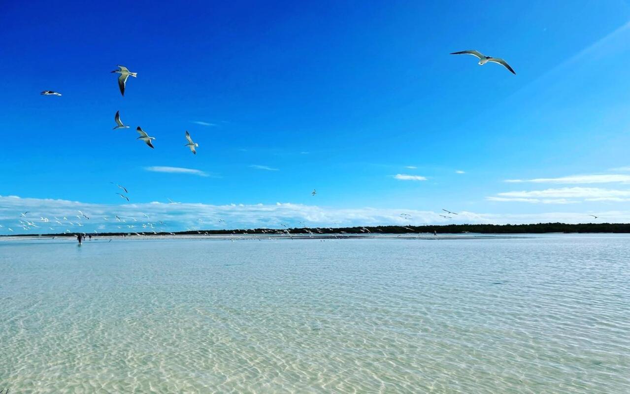 Mi Habitat Holbox-Maravilla Natural Luaran gambar