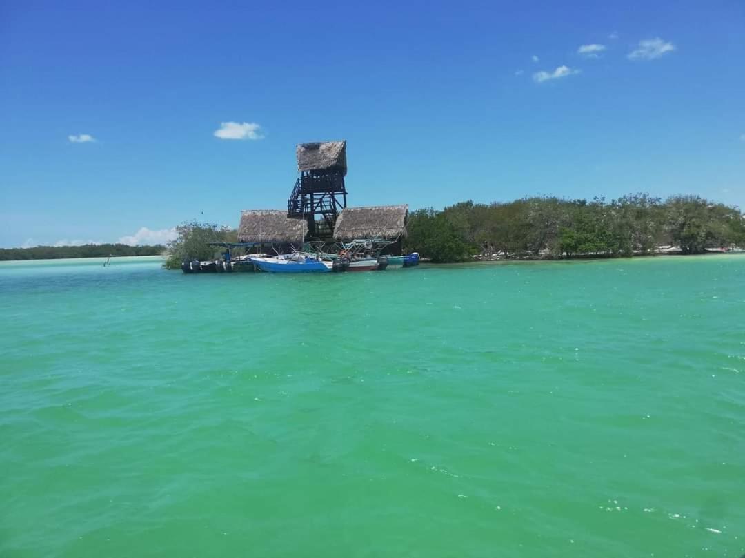 Mi Habitat Holbox-Maravilla Natural Luaran gambar