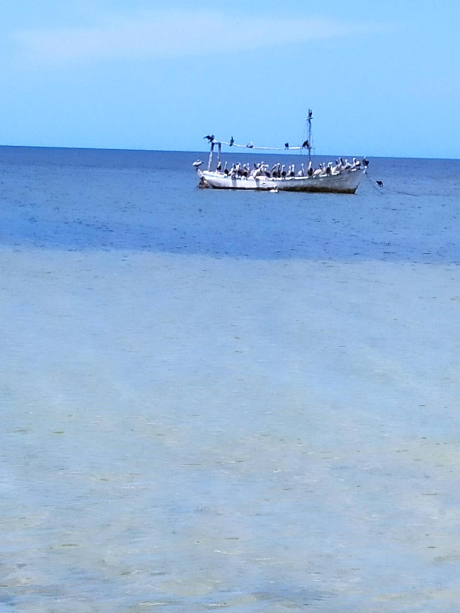 Mi Habitat Holbox-Maravilla Natural Luaran gambar