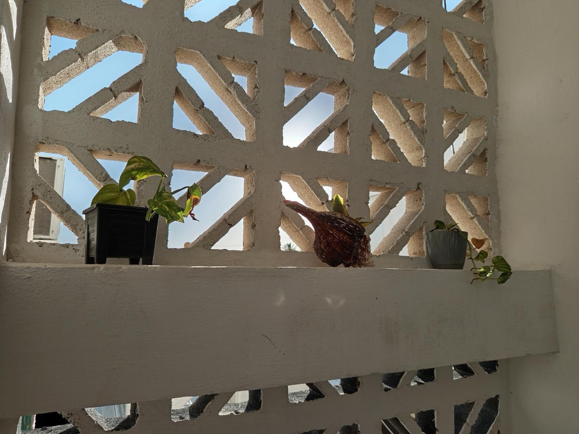 Mi Habitat Holbox-Maravilla Natural Luaran gambar