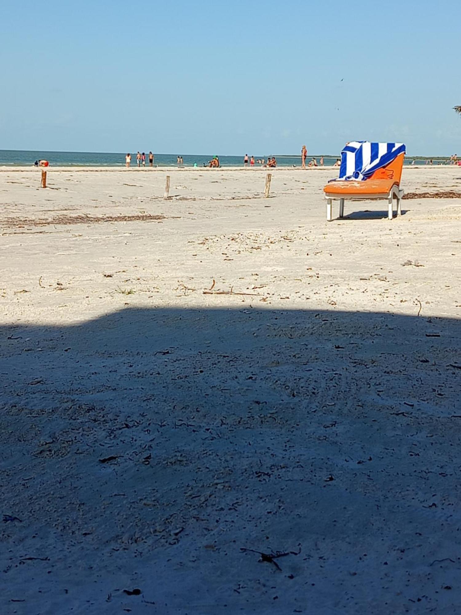Mi Habitat Holbox-Maravilla Natural Luaran gambar