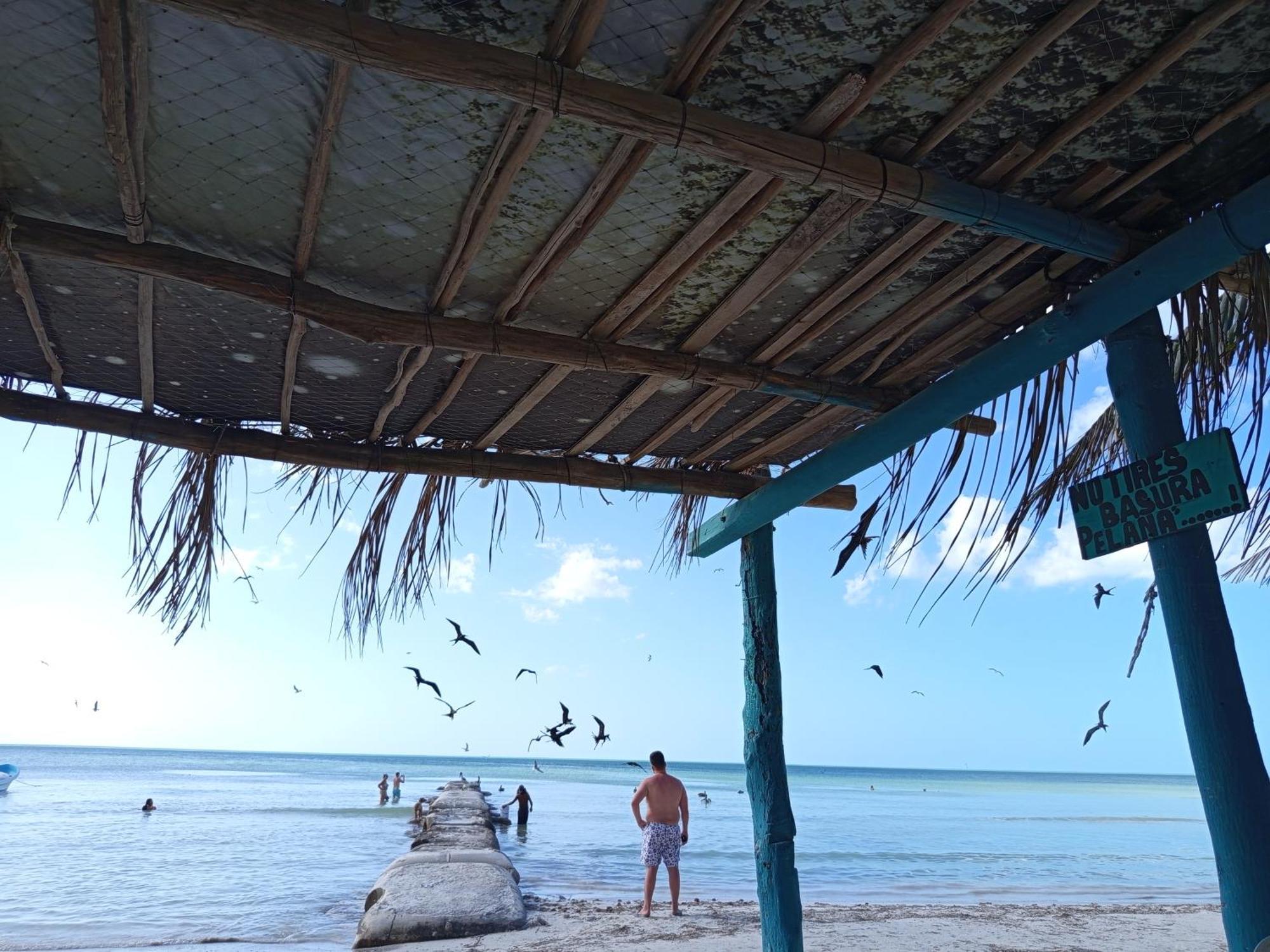 Mi Habitat Holbox-Maravilla Natural Luaran gambar