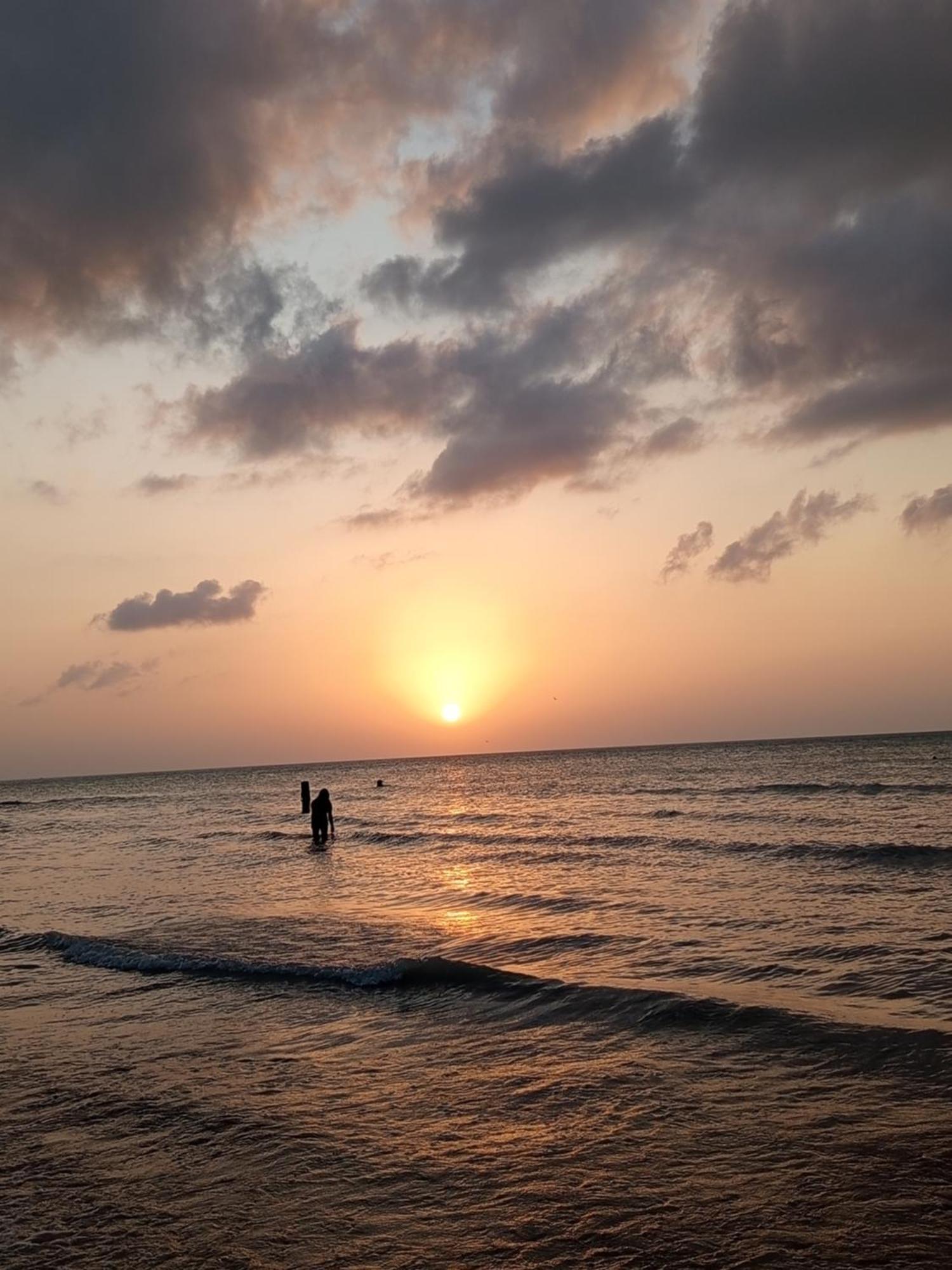 Mi Habitat Holbox-Maravilla Natural Luaran gambar